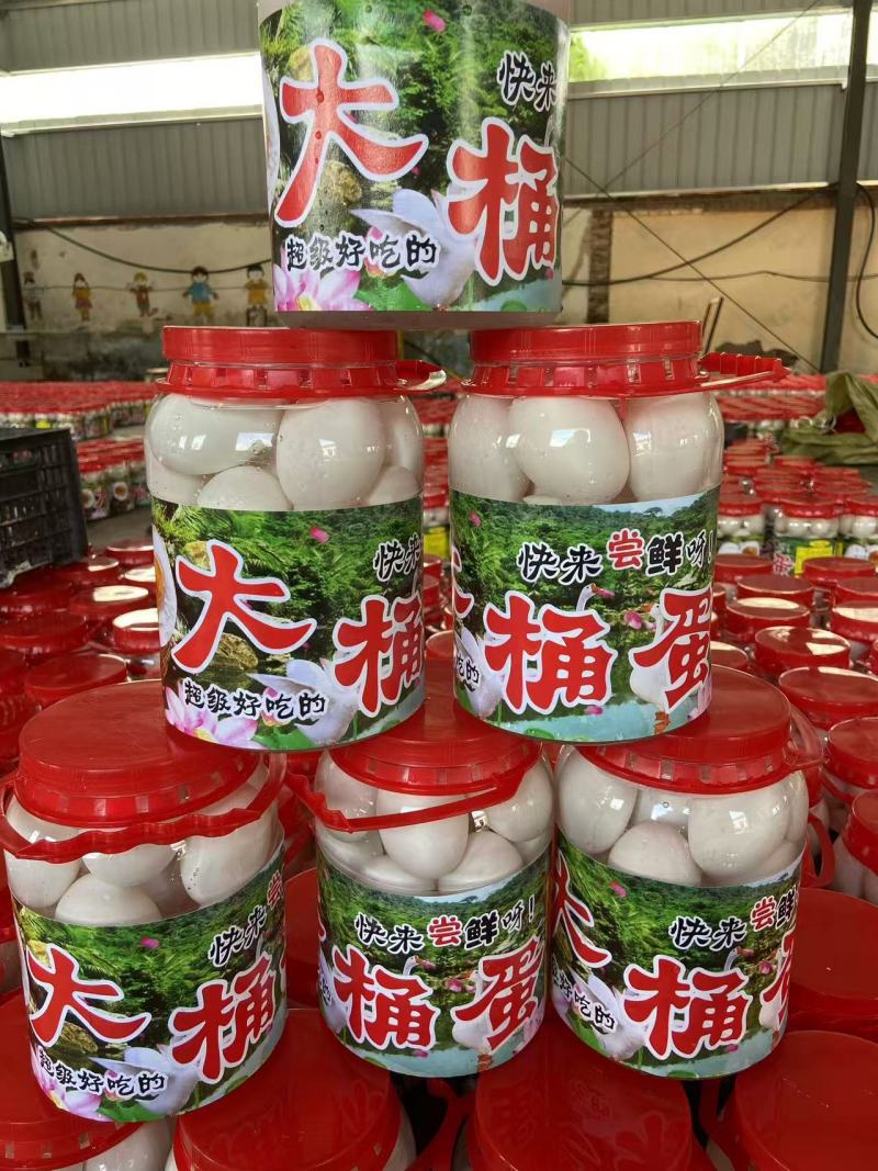 农村特产大鹅蛋一手货源对接电商市场商超可视频看货
