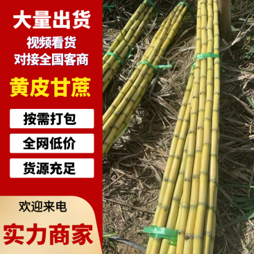 【黄皮甘蔗】云南甘蔗基地直供一手货源保质保量