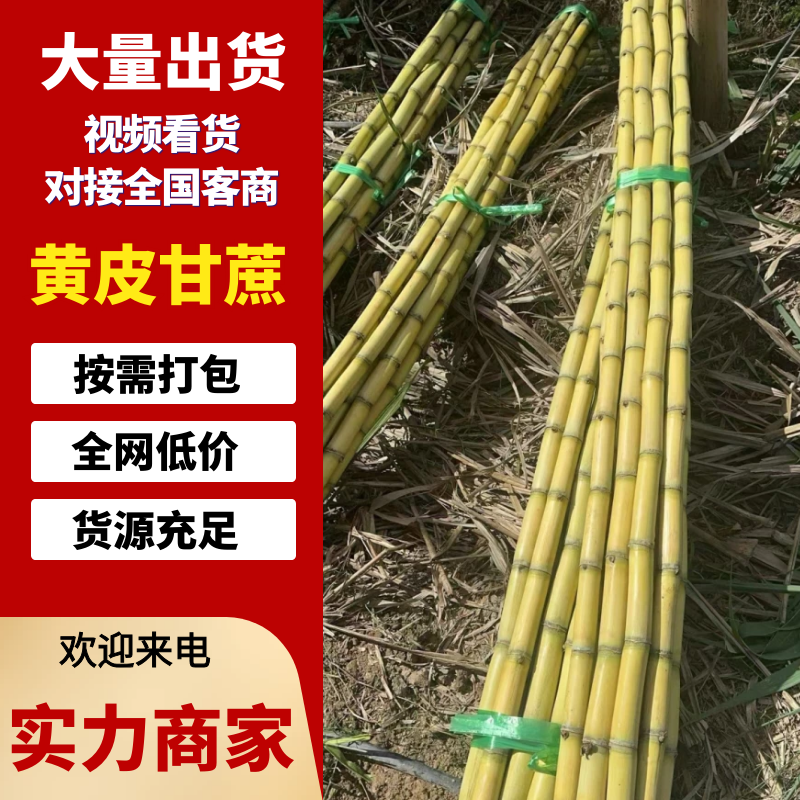 【黄皮甘蔗】云南甘蔗基地直供一手货源保质保量