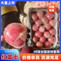 【纸+膜】膜袋山西运城红富士苹果产地直销