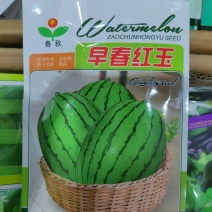 早春红玉西瓜种子小西瓜种子早熟超甜礼品型红肉西瓜种子