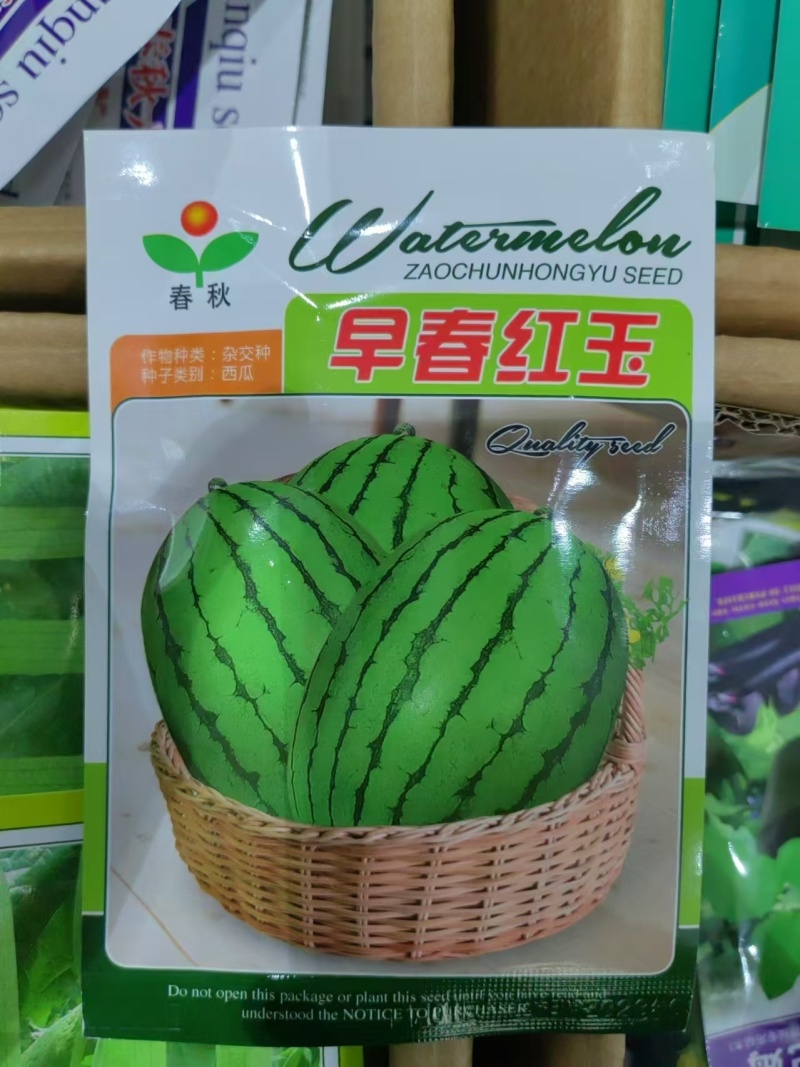 早春红玉西瓜种子小西瓜种子早熟超甜礼品型红肉西瓜种子