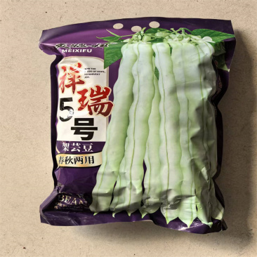 白芸豆种子祥瑞5号架芸豆种子春秋九粒白种子早熟高产5斤