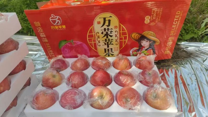 红富士苹果山西苹果对接电商社区团购一件代发等