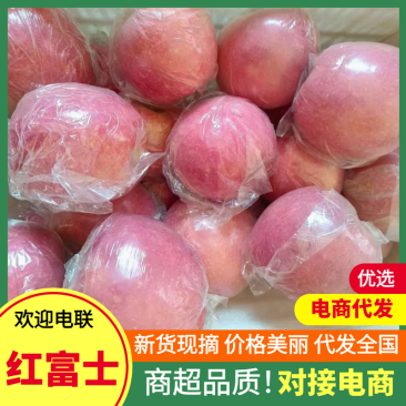 万荣红富士苹果山西苹果产地直发口感脆甜对接全国