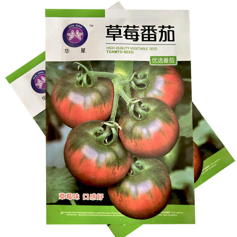 草莓番茄种子大果高圆带绿肩沙瓤口感水果西红柿