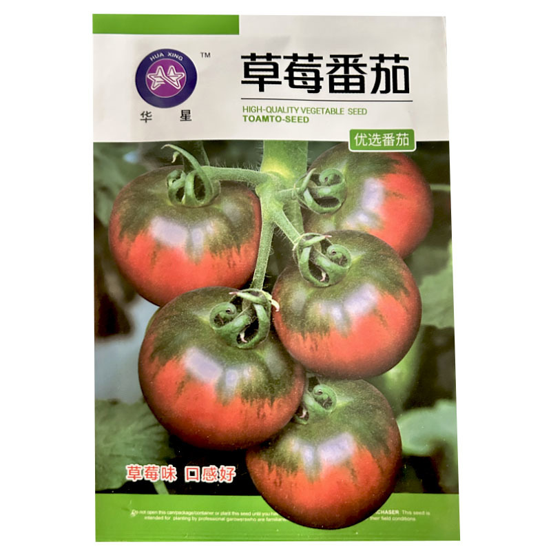 草莓番茄种子大果高圆带绿肩沙瓤口感水果西红柿