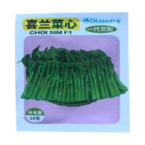喜兰菜心种子中早熟高产四季青菜种蔬菜种子
