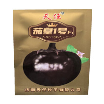 茄皇1号茄种子早熟果大高产紫黑发亮基地用茄子种子