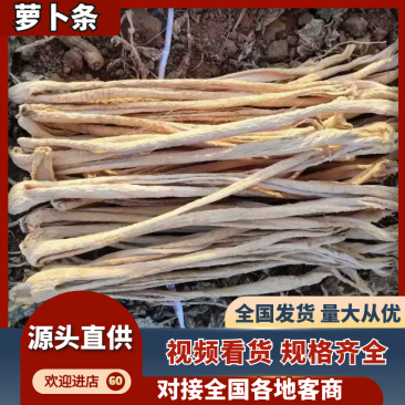 辽宁绥中优质五把刀细条大根条大量上市了