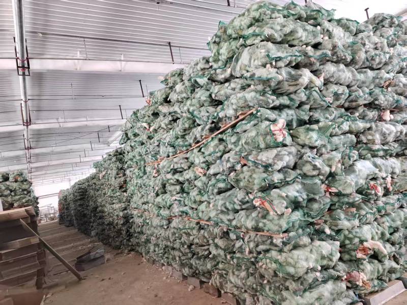 晾干兔皮一手货源量大从优支持视频看货选货