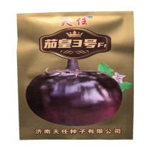 茄皇3号圆茄种子中熟白肉高产紫圆茄子种子发芽高基地