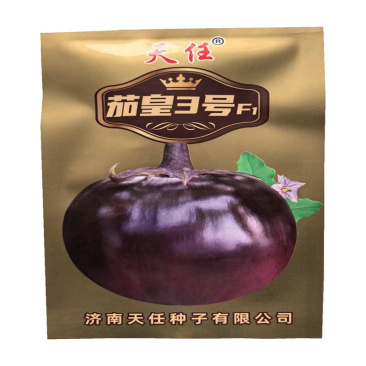 茄皇3号圆茄种子中熟白肉高产紫圆茄子种子发芽高基地