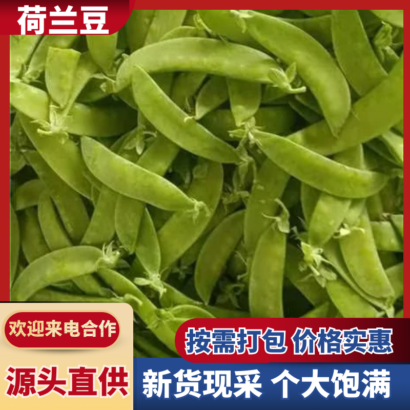 荷兰豆豌豆云南荷兰豆对接电商市场等保质保量