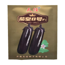 茄皇8号茄子种子中早熟杂交黑亮长棒茄种子紫黑长茄种子