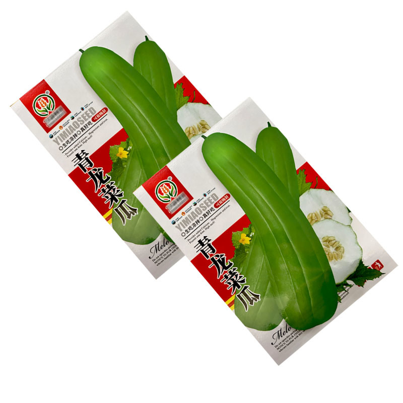 青龙菜瓜种子八棱脆青皮酥瓜生吃凉拌腌菜水果蔬菜