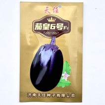 茄皇6号茄种子中熟杂交长灯泡型茄子种子圆形茄子种子
