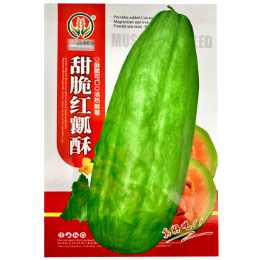 甜脆红瓤酥甜瓜种子脆甜可口早熟耐热丰产青皮红瓤