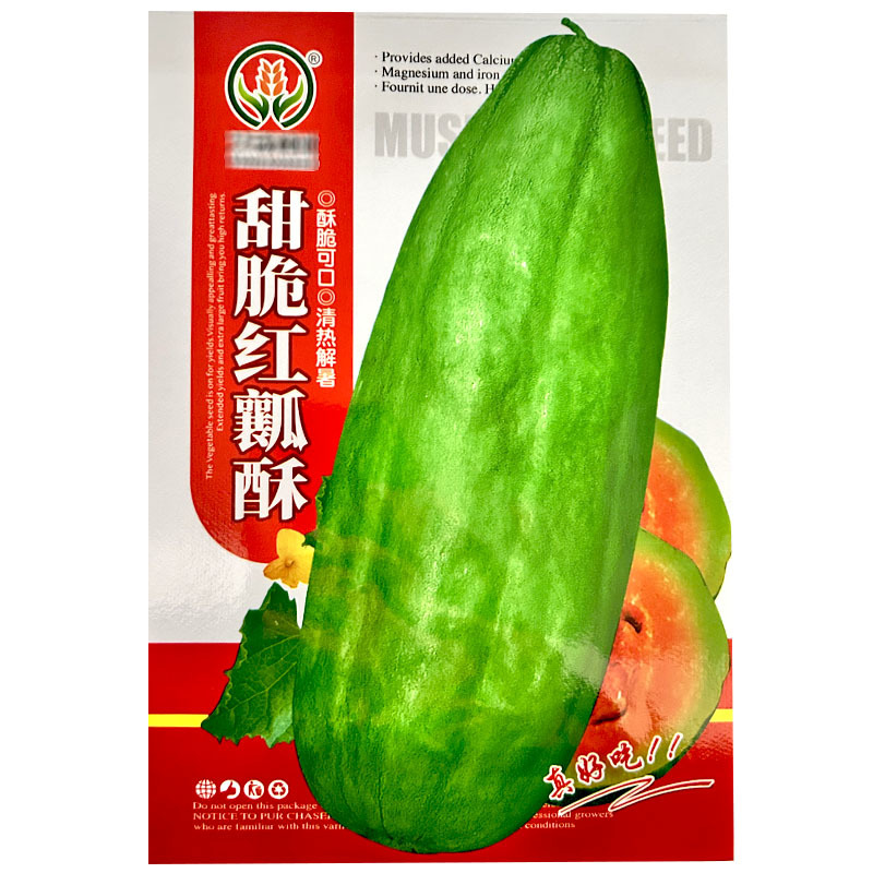 甜脆红瓤酥甜瓜种子脆甜可口早熟耐热丰产青皮红瓤