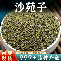 批发【沙苑子】安国中药材正品无硫新货沙苑子