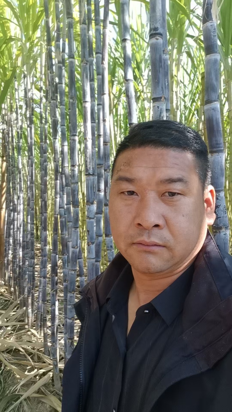 【超多人好评】云南黑皮甘蔗产地一手货源保质保量量大优惠