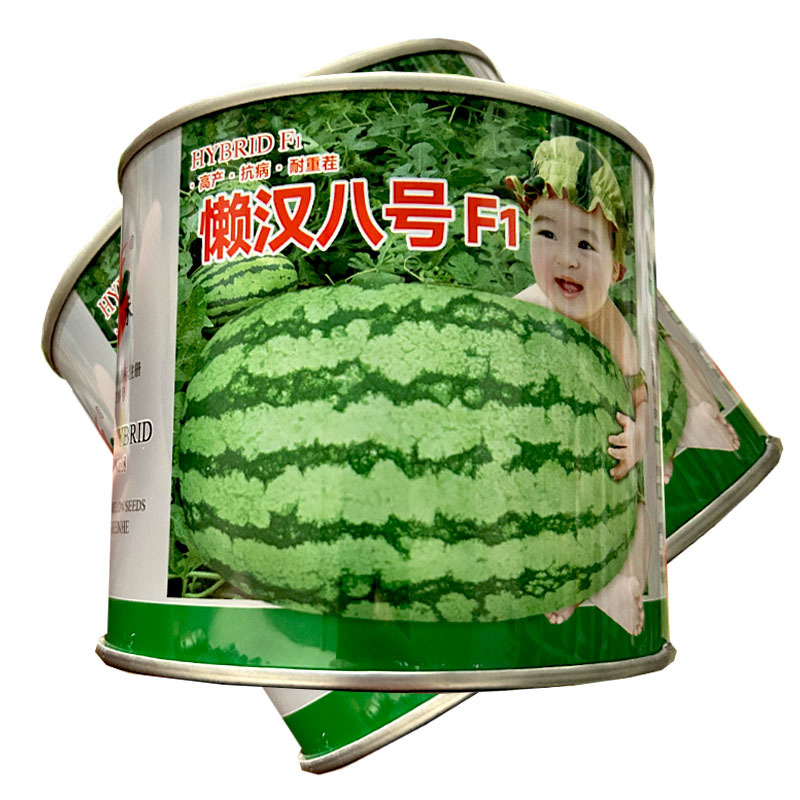 懒汉八号西瓜种子大果型红瓤抗耐重易坐果糖度高
