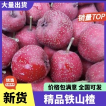 山楂铁山楂遵化铁山楂糖葫芦炒雪球专用一手货源