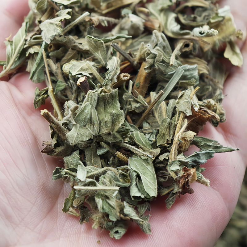 批发仙鹤草中药材安国中药材批发新鲜仙鹤草龙芽草黄龙草野生