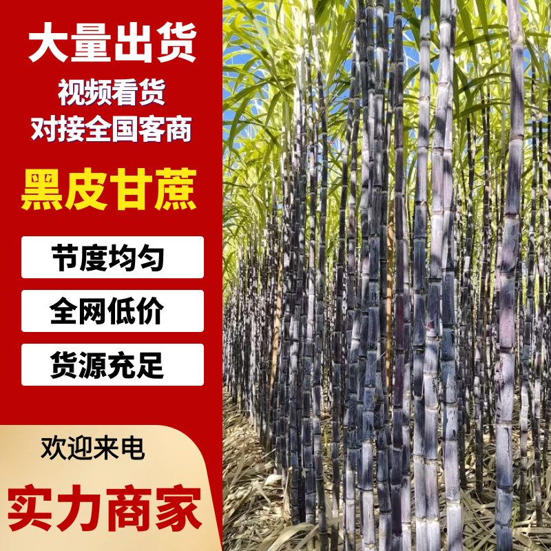 【超多人好评】云南黑皮甘蔗产地一手货源保质保量量大优惠