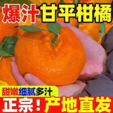 【精选】甘平柑橘支持一件可发对接全国电商商超视频看货