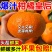 【精选】甘平柑橘支持一件可发对接全国电商商超视频看货