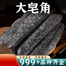 批新货大皂角整根长皂角皂荚碎块段天然中药材安国中药材批发