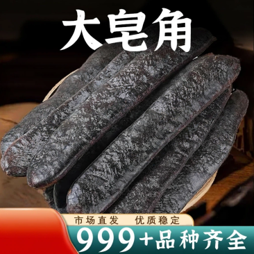 批新货大皂角整根长皂角皂荚碎块段天然中药材安国中药材批发