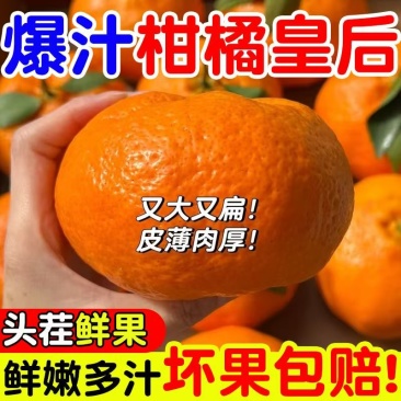 甘平柑桔一手货源对接全国支持各大电商平台市场批发