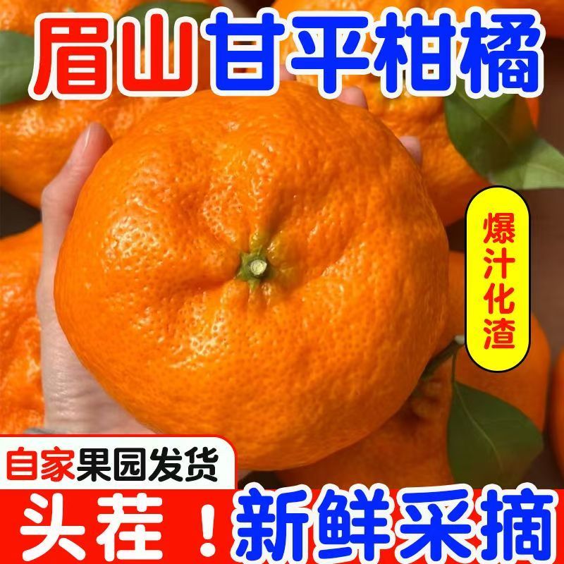 甘平柑桔一手货源对接全国支持各大电商平台市场批发