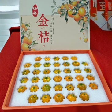 金桔广西脆蜜金桔产地直发对接电商一件代发等
