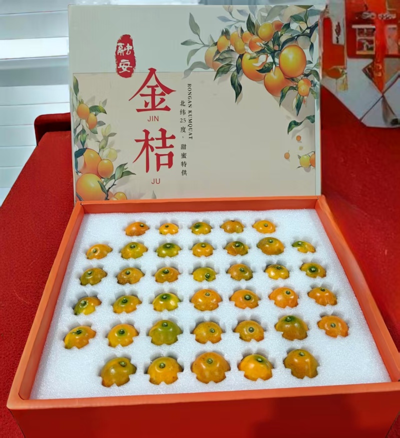 金桔广西脆蜜金桔产地直发对接电商一件代发等