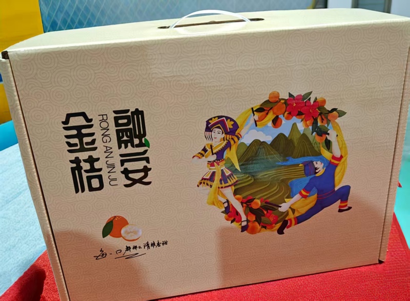 金桔广西脆蜜金桔产地直发对接电商一件代发等
