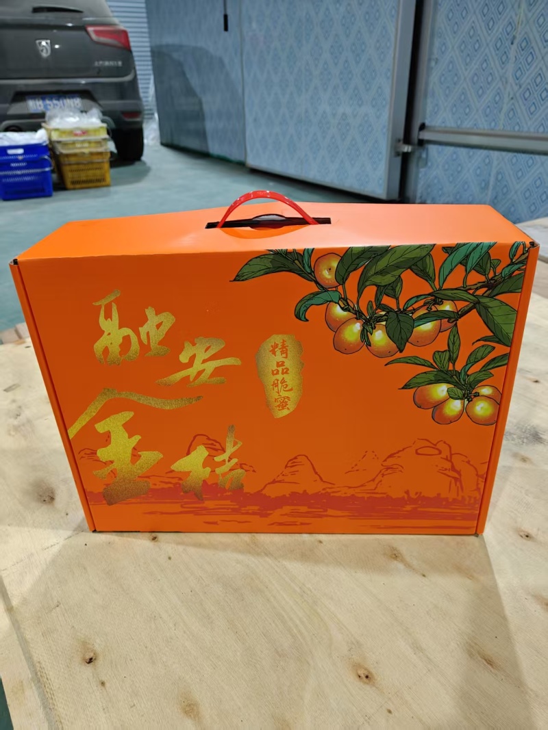金桔广西脆蜜金桔产地直发对接电商一件代发等