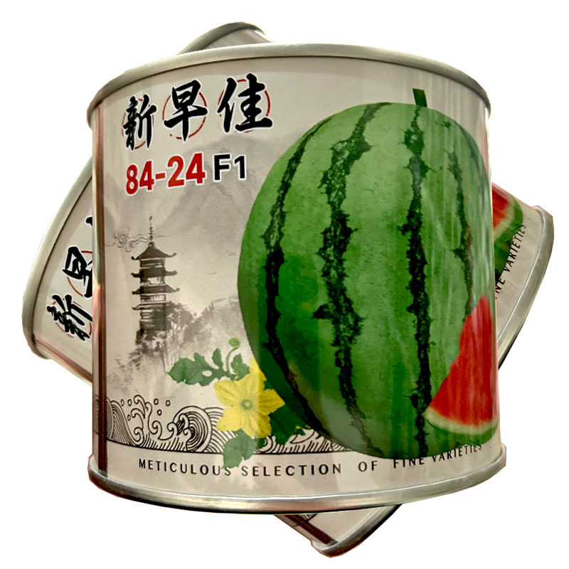 新早佳8424西瓜种子早熟薄皮麒麟西瓜高产