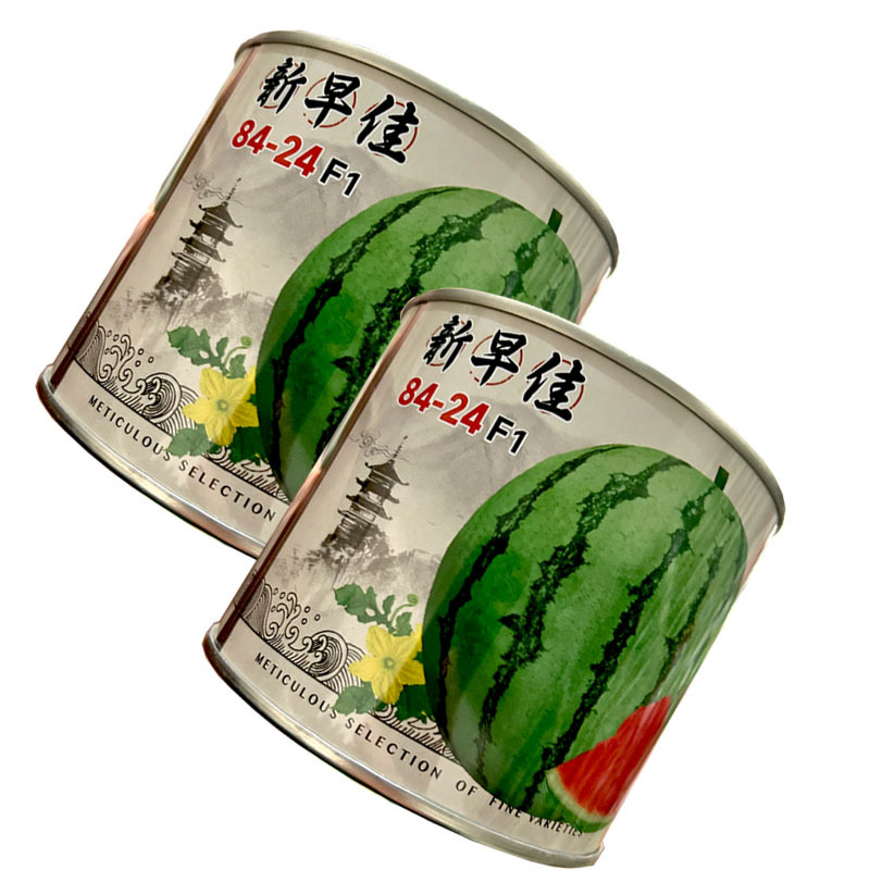 新早佳8424西瓜种子早熟薄皮麒麟西瓜高产
