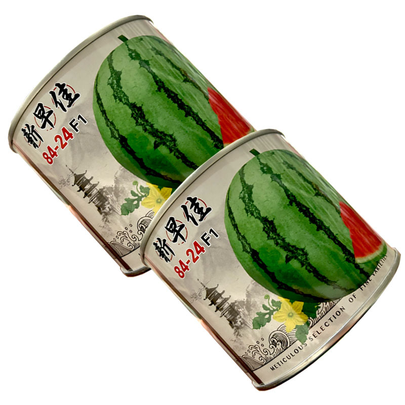 新早佳8424西瓜种子早熟薄皮麒麟西瓜高产