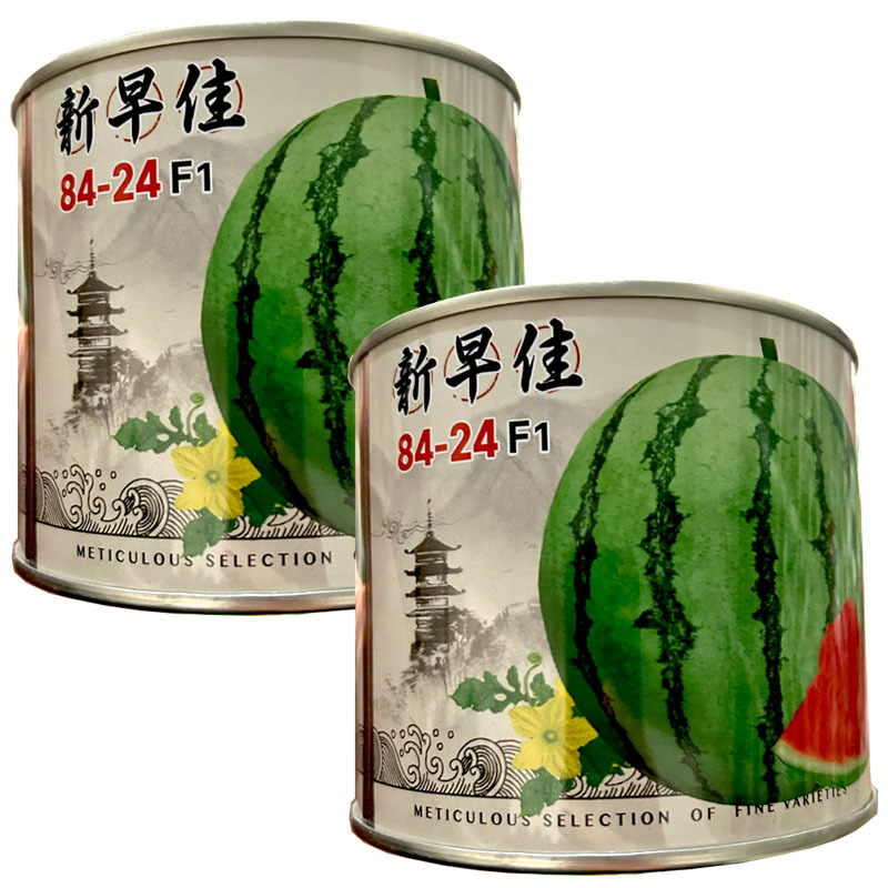 新早佳8424西瓜种子早熟薄皮麒麟西瓜高产