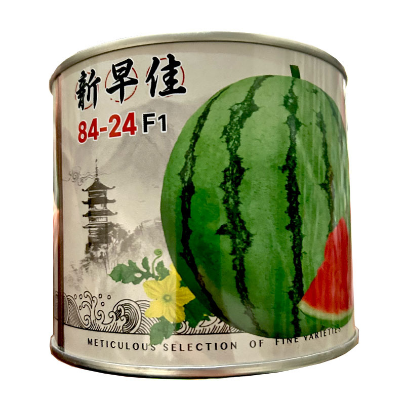 新早佳8424西瓜种子早熟薄皮麒麟西瓜高产