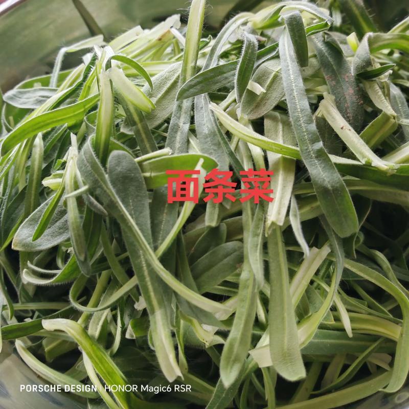 山东苗条菜基地一手货源对接电商市场商超可视频