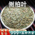 批发侧柏叶中药材安国中药材批新鲜侧柏叶生侧柏叶干侧柏叶