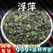 批发浮萍中药材正品紫背浮萍干浮萍安国中药材一手货源