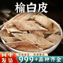 批发榆树皮中药材老榆树皮榆皮洗头榆白皮榆根皮安国中药材