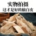 批发榆树皮中药材老榆树皮榆皮洗头榆白皮榆根皮安国中药材