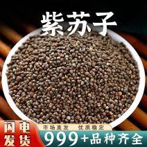 批发中药材紫苏子苏子黑苏子生紫苏籽安国中药材一手货源